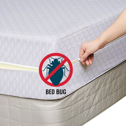 Zip quilted mattress cover - quilted,